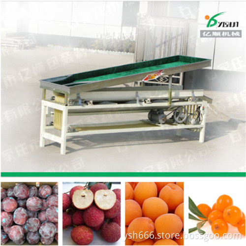 Apricot sorting machine factory price YSXT-1C